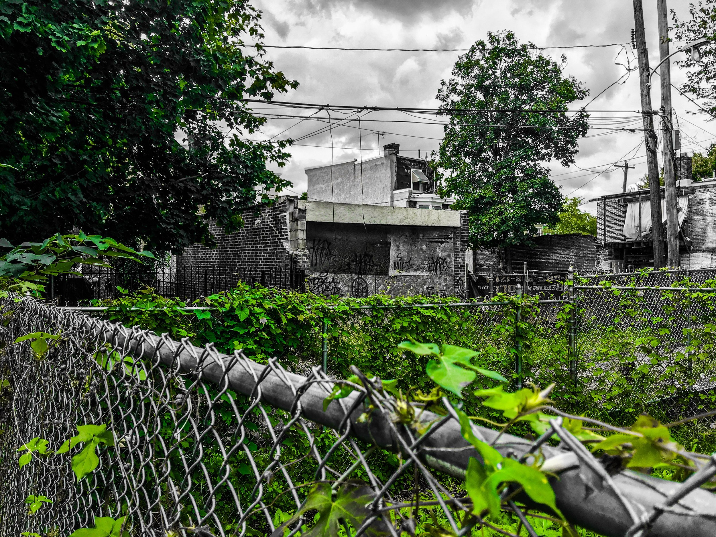 6B8BFA66-B22E-4056-8467-6D797A6C967B.jpeg