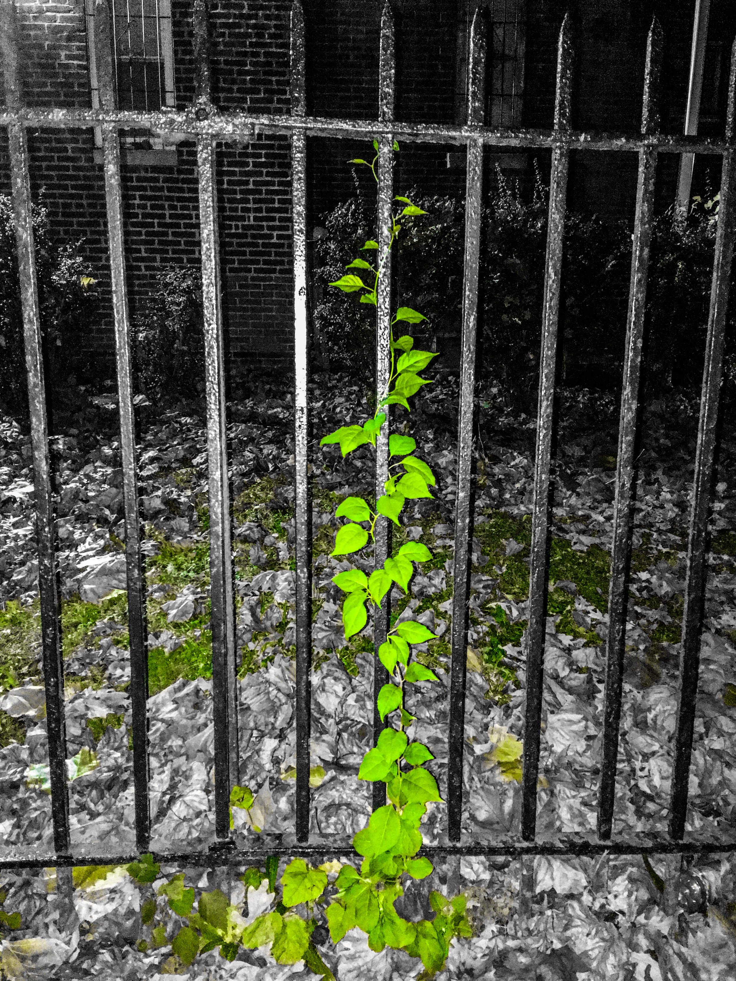 23A064E7-2245-45F4-8E7C-BEFEB187D547.jpeg