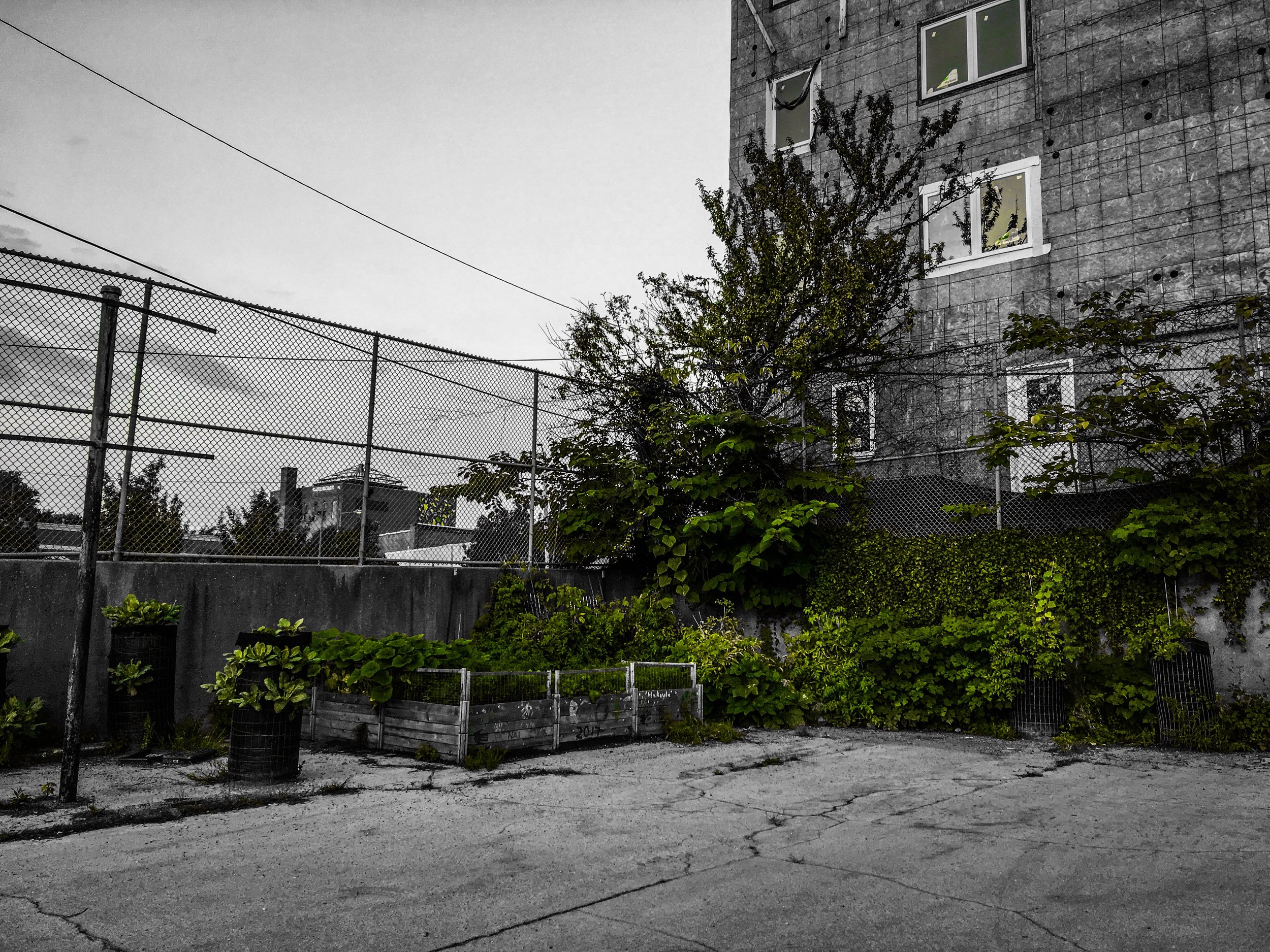 417FC602-2323-497F-909C-6CD0DA42C0F2.jpeg