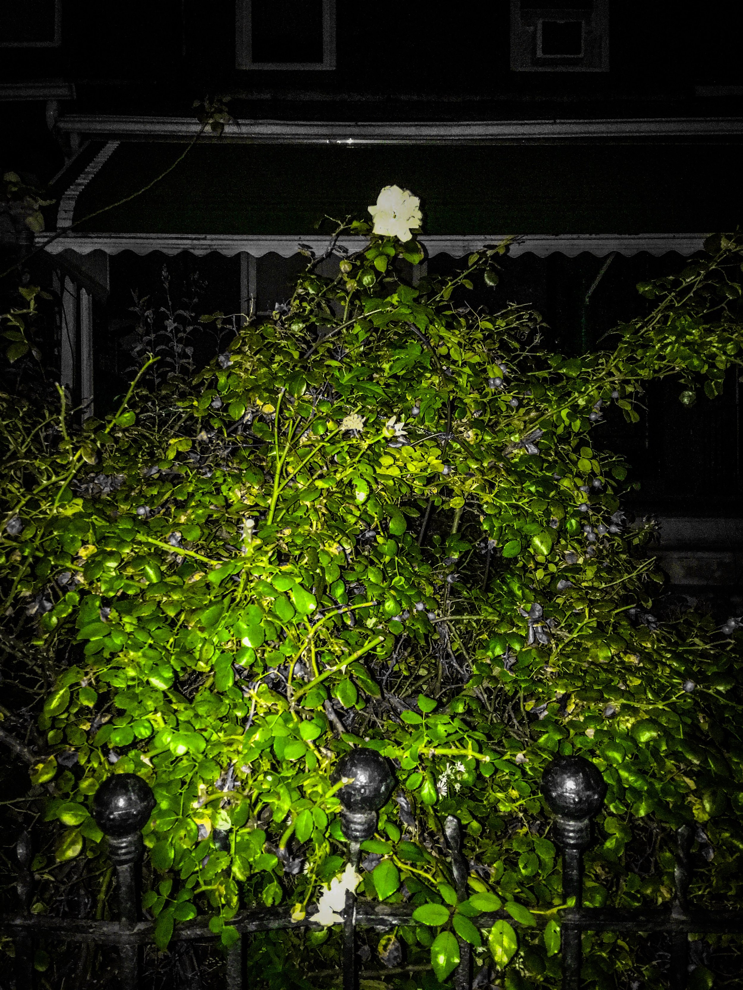 14406FB9-B6AE-49A1-AE1B-D578865B68A4.jpeg