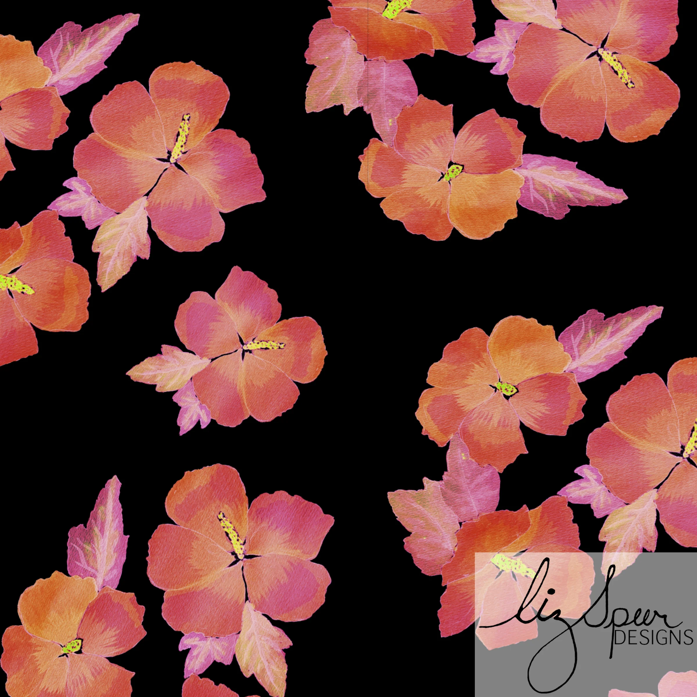 Moon Glow Hibiscus