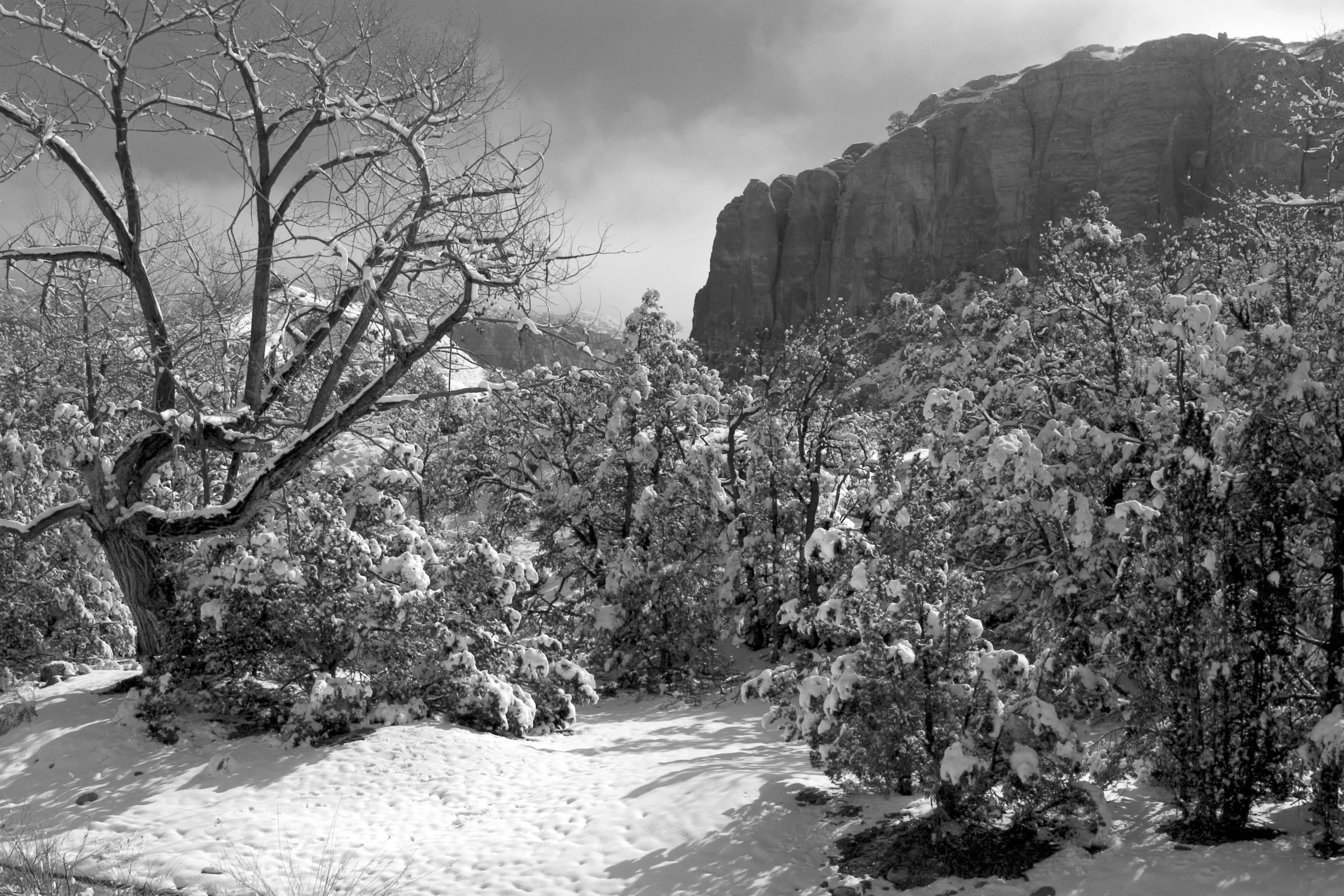 CRW_2673.jpg
