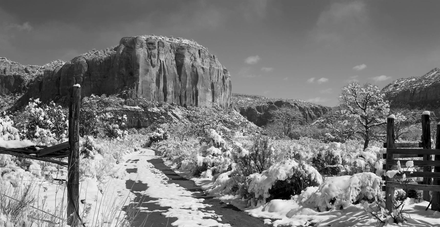 CRW_2710.jpg