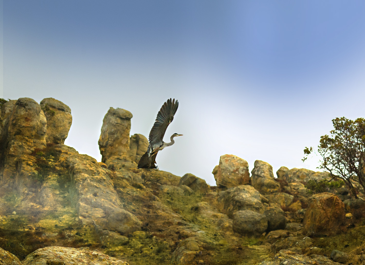 1DM36850-Edit.jpg