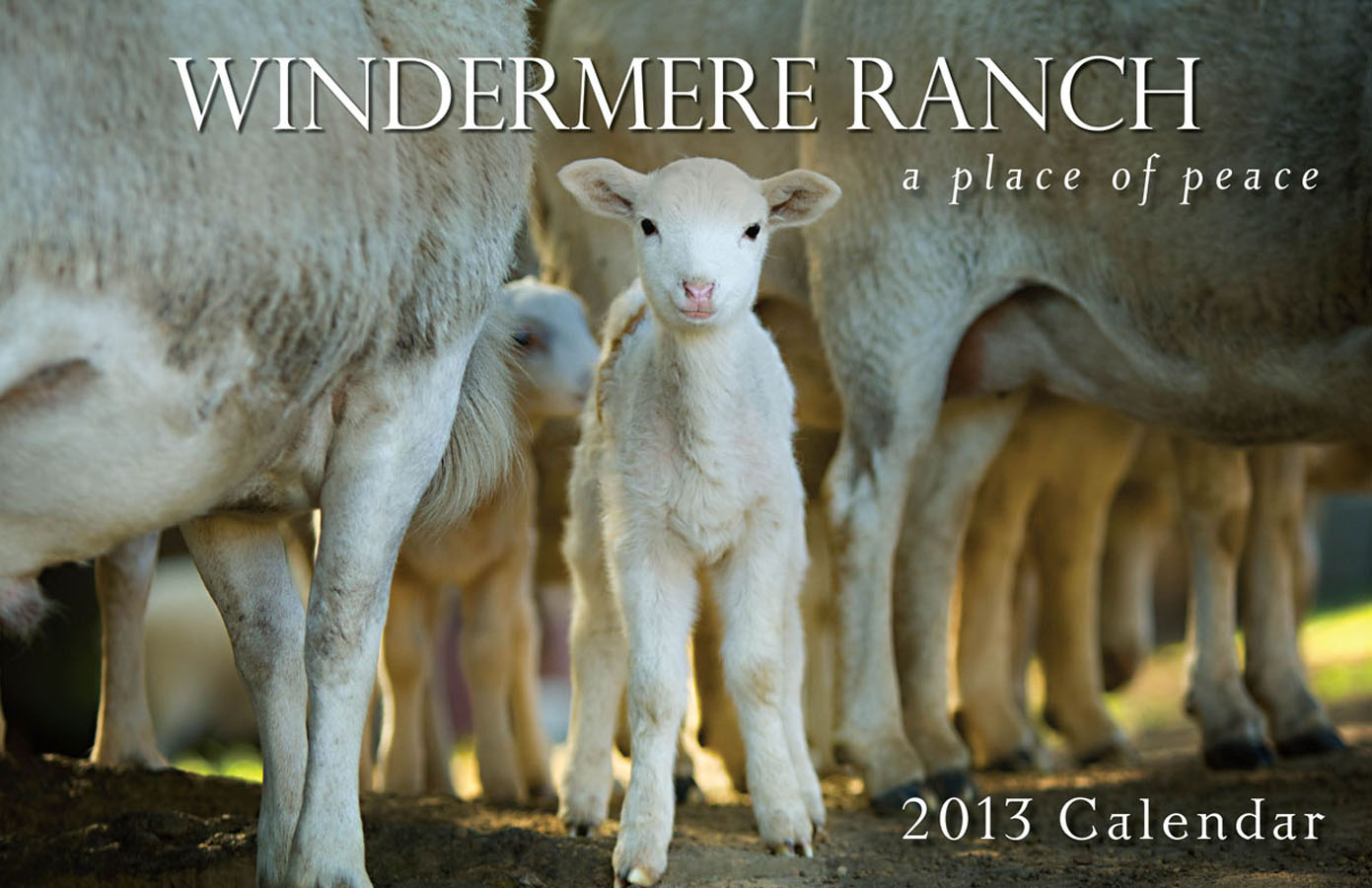 Windermere calendar cover.jpg