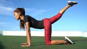 Musculoskeletal