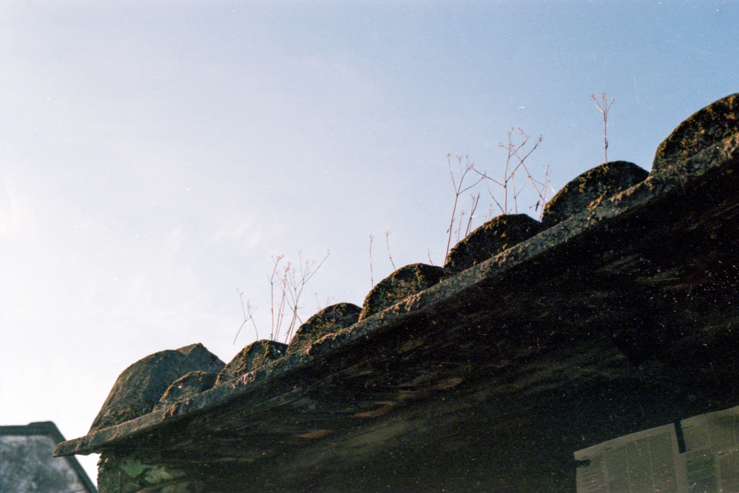 Kodak Gold_100_01_010.jpg