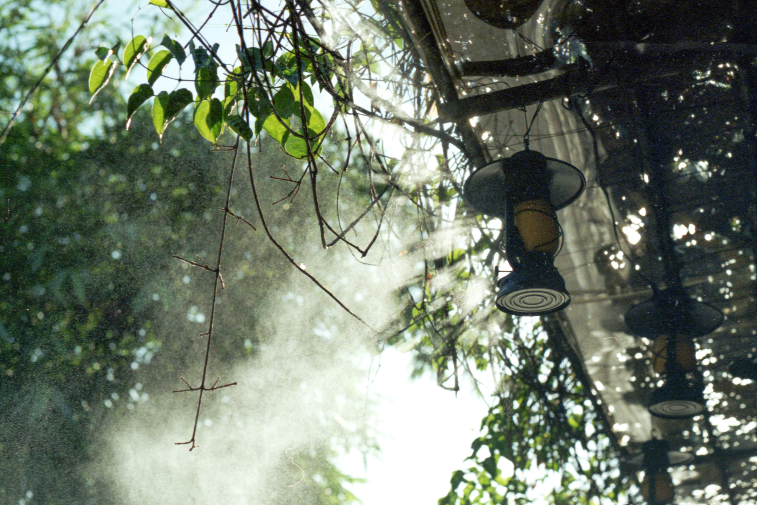 Kodak Gold_100_01_001.jpg