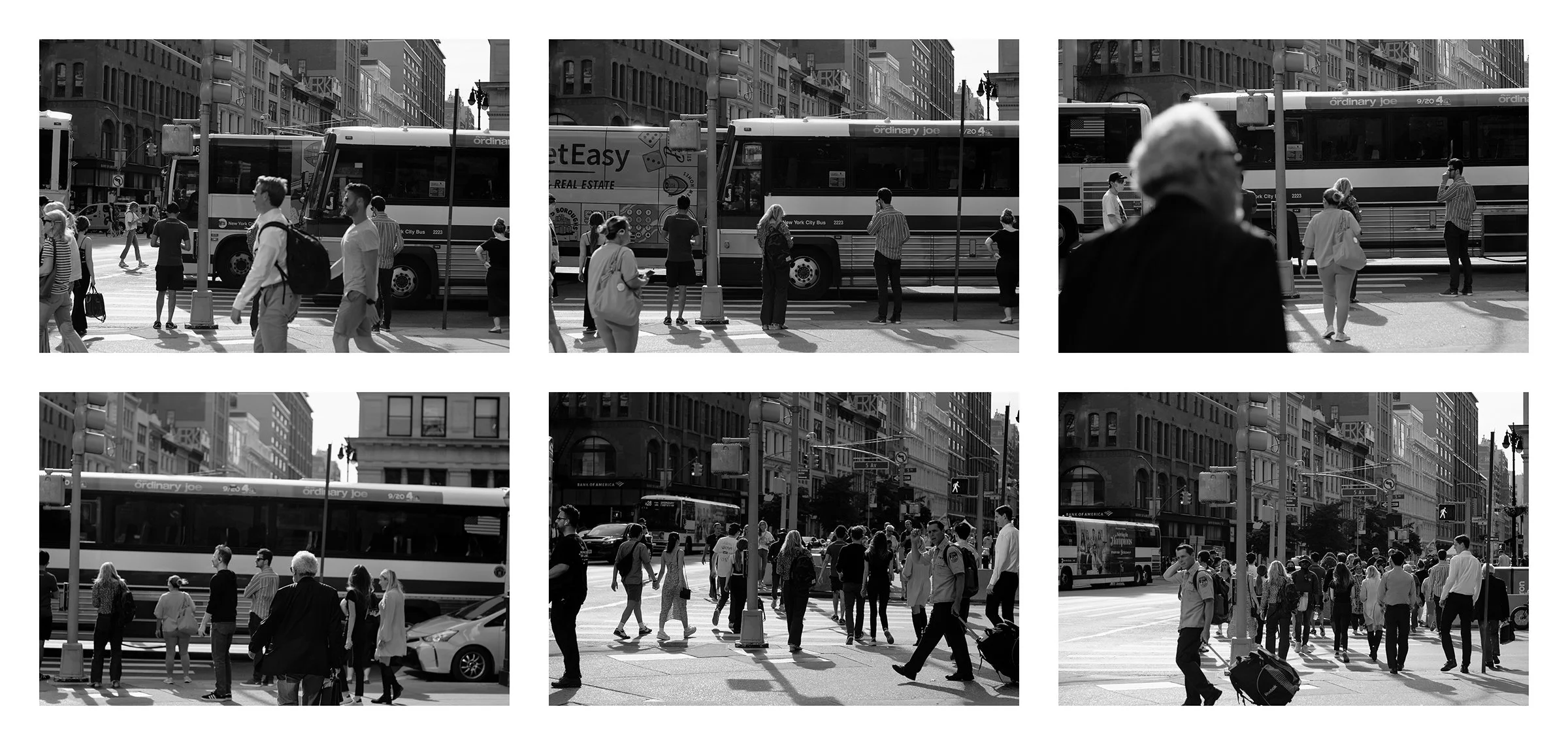 Madison Square Park_In Sequence_web 01.jpg