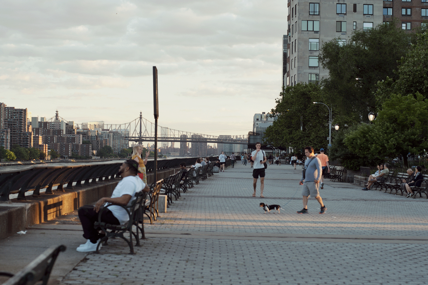 IN-SQ_East-River-Promenade_web.gif