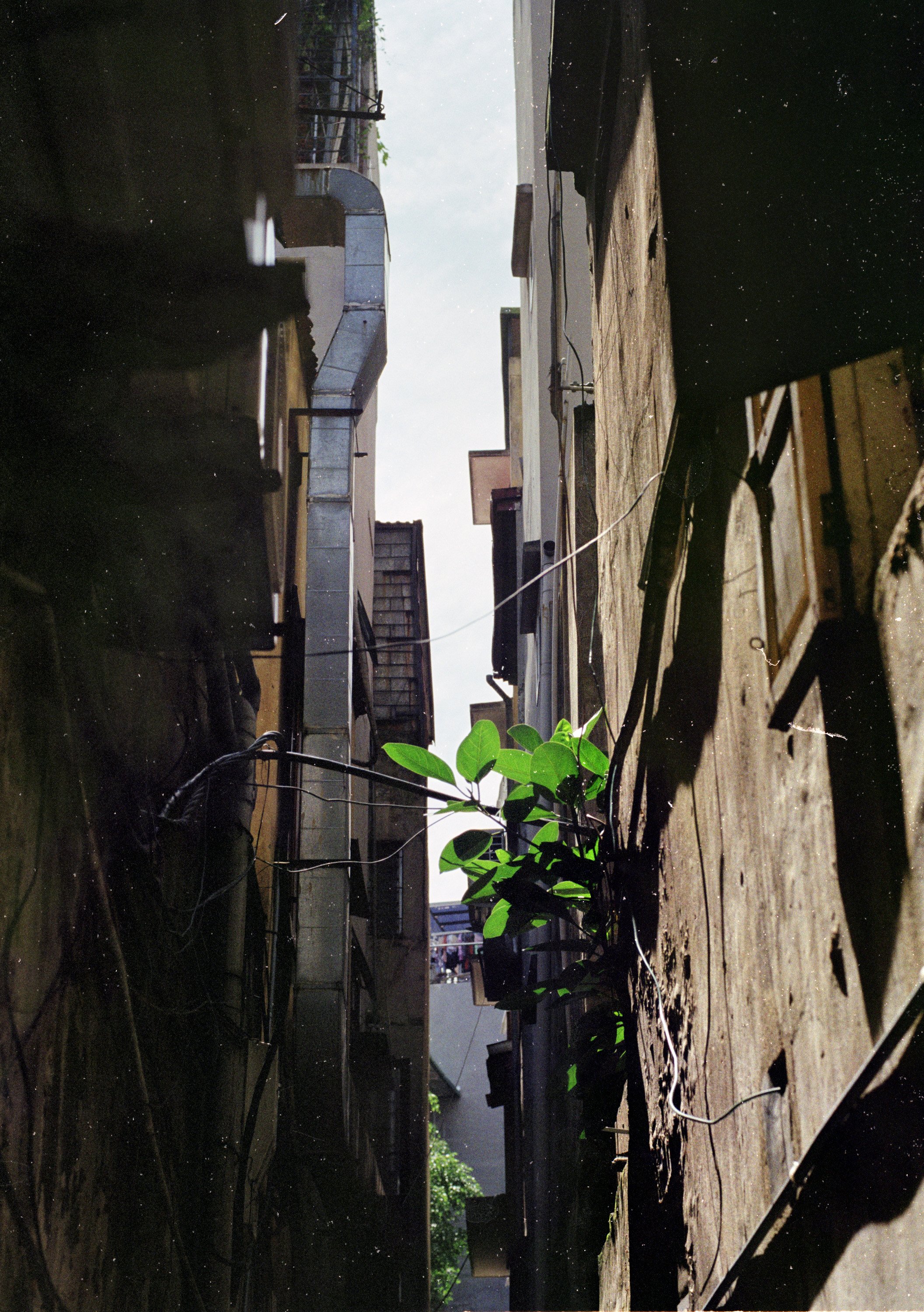 Recollection of Hanoi in a celluloid capsule.