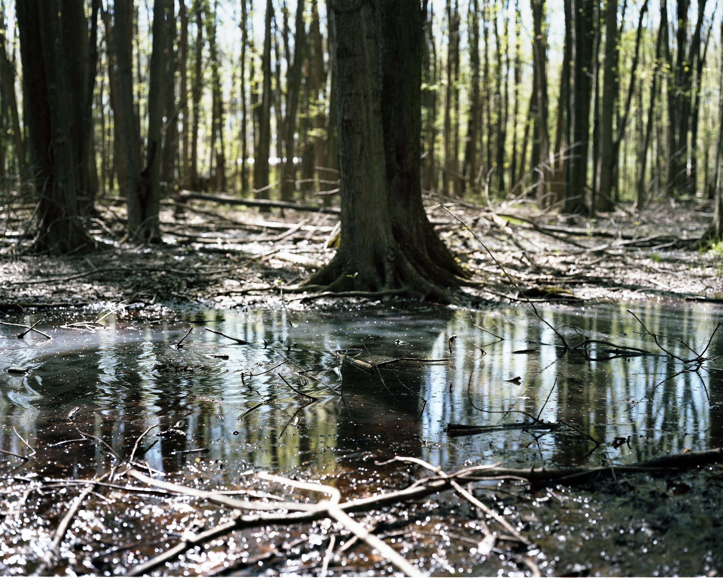 LF_Portra010.jpg