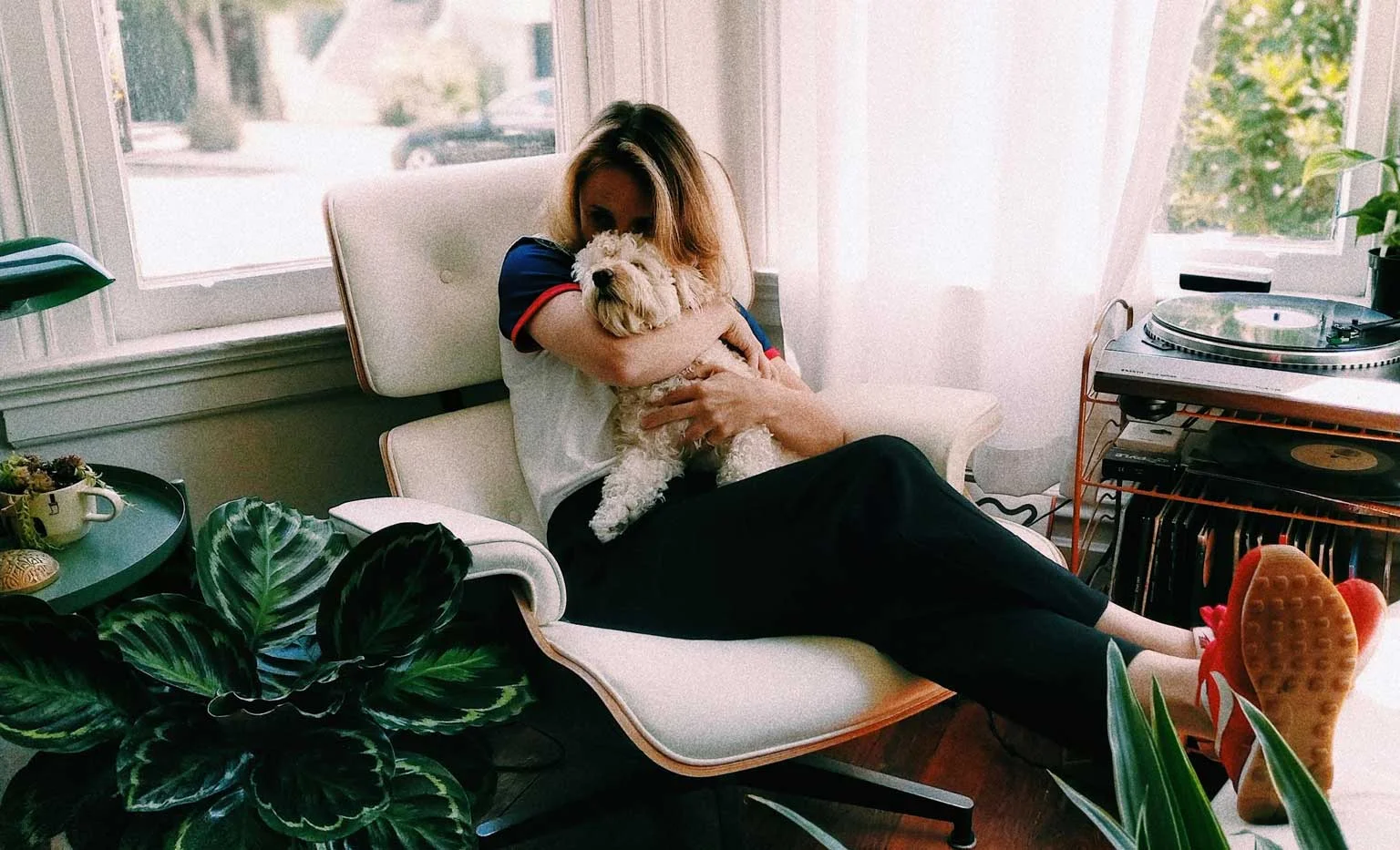 washington-dc-dog-sitter.jpg
