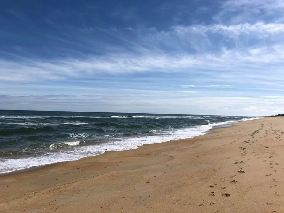 1C8AF743-537E-415C-A456-887C5D6171F3 (1).JPG