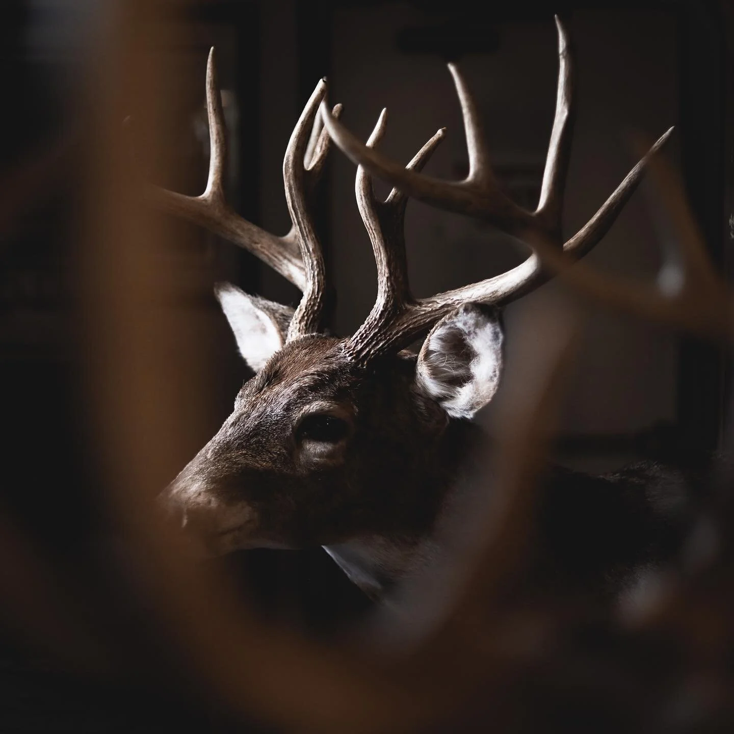 KANSAS bound today... A scouting mission first - but we&rsquo;d send it for sure. 🏹