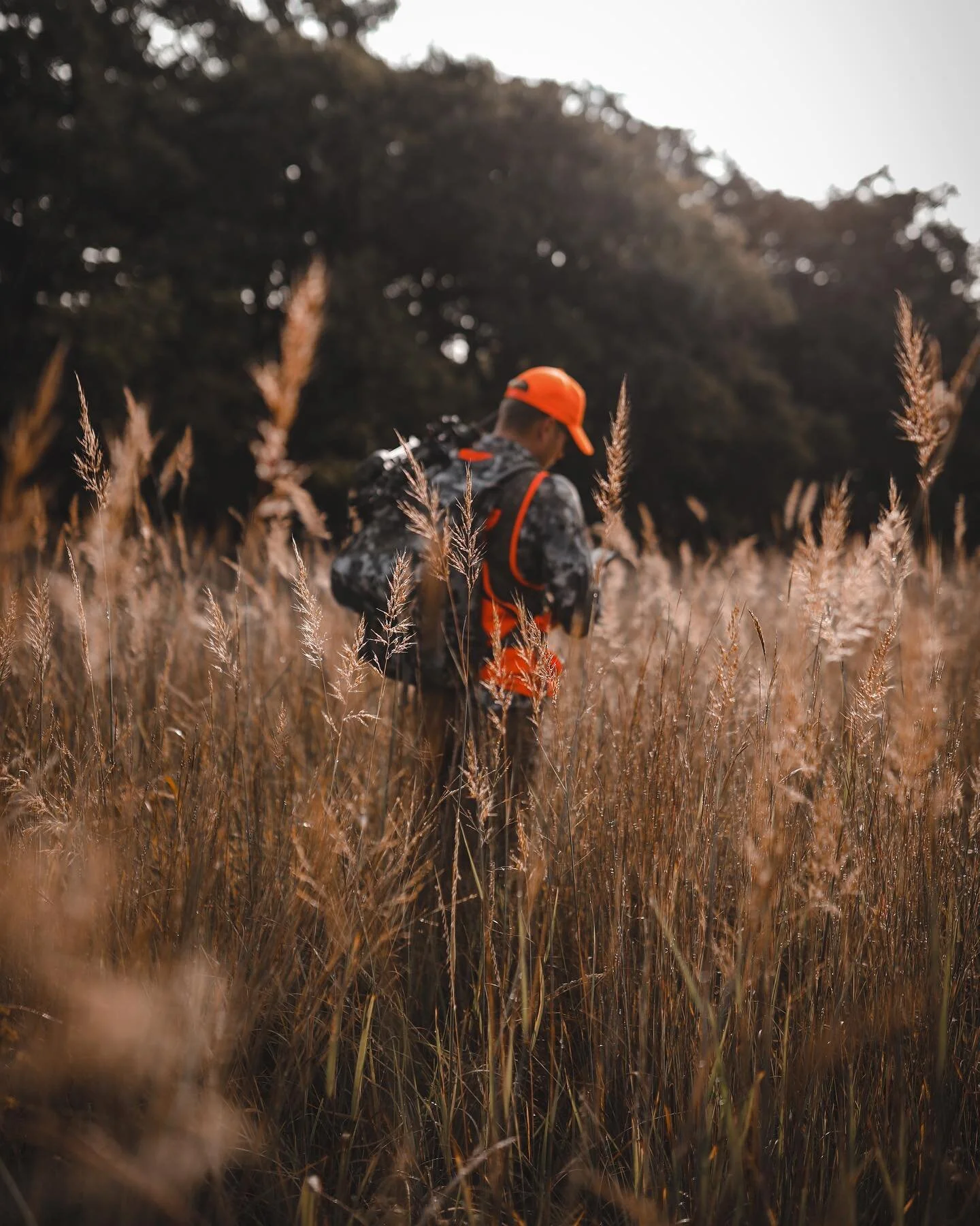 @huntwiseapp hasn&rsquo;t left our hands for the entirety of this out of state whitetail scouting mission. Pinning like crazy!