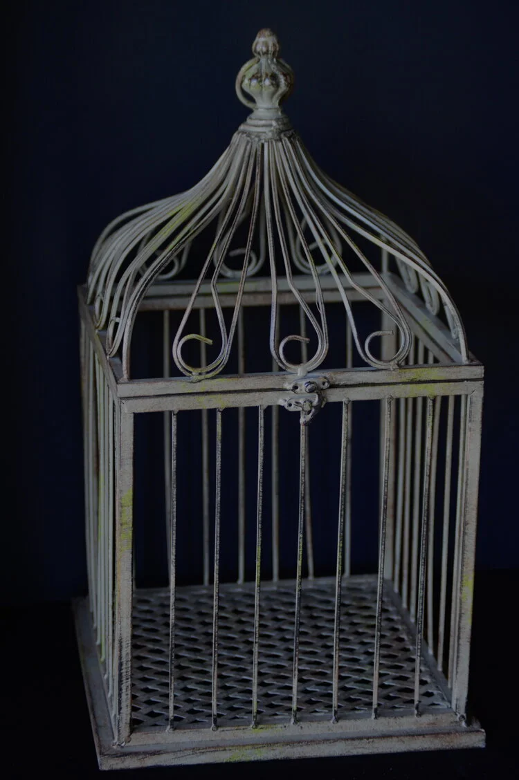 bird+cage Q1.jpeg