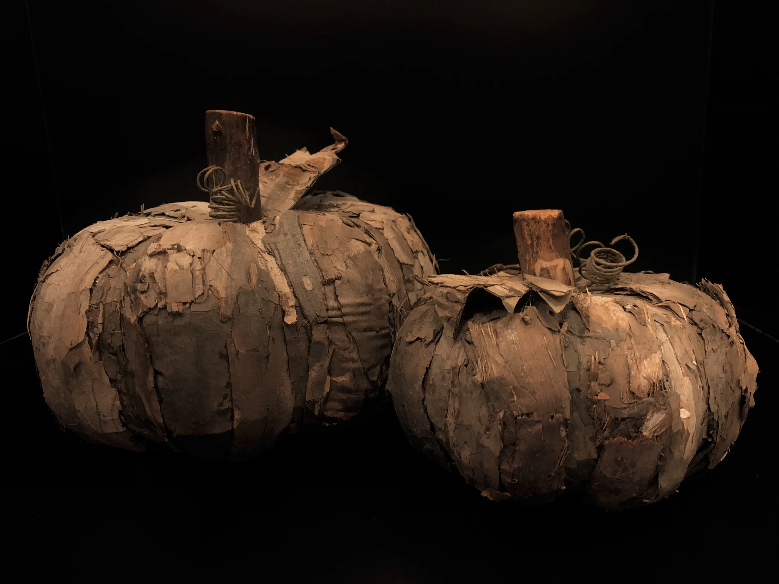 Pumpkins Q1lg 1sm.jpg
