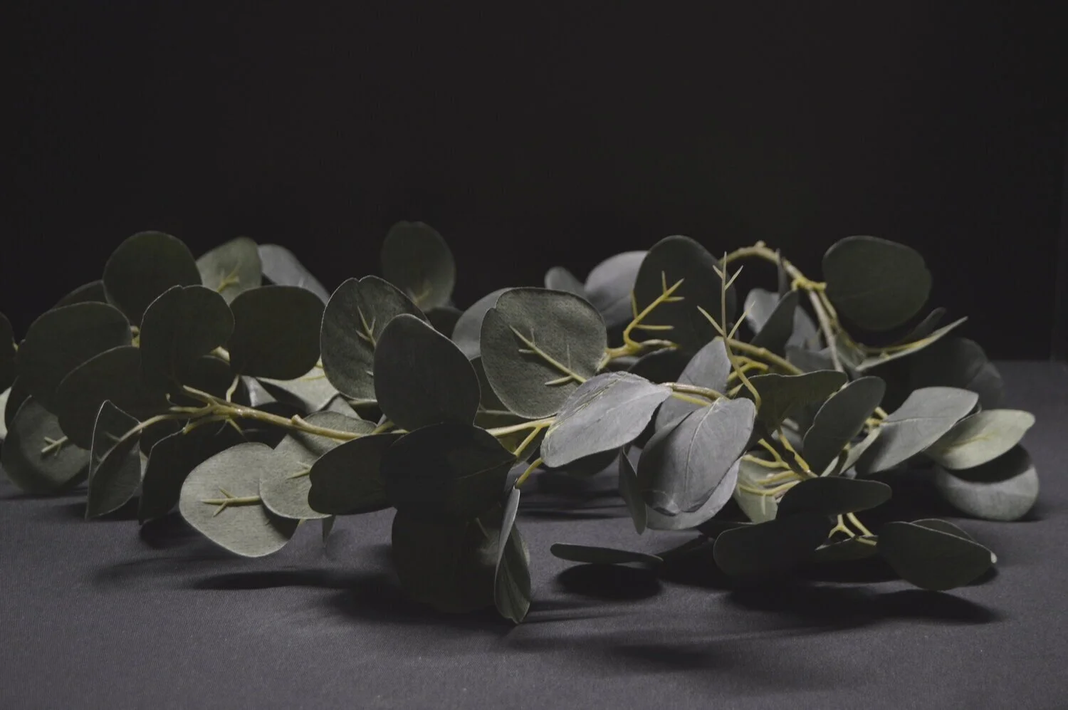 eucalyptus+garland+Q2.jpg
