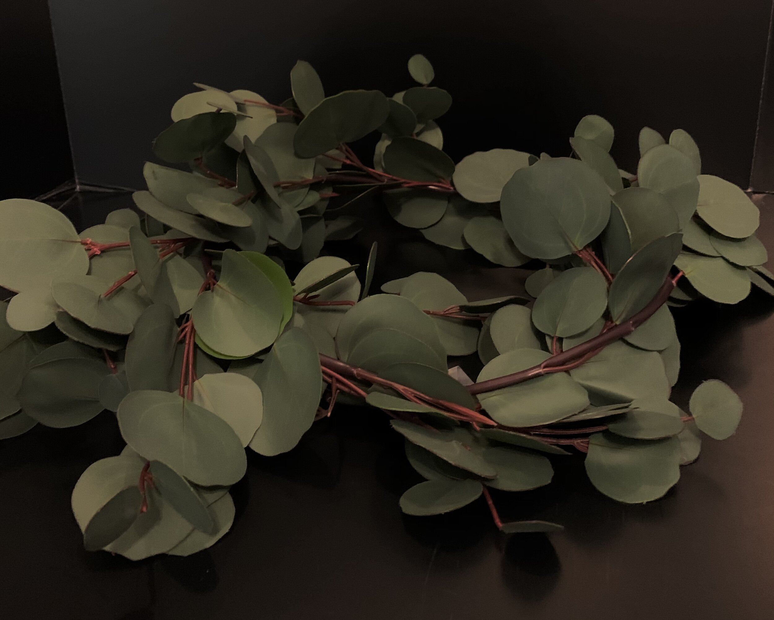 eucalyptus greenery #2 Q5.jpg