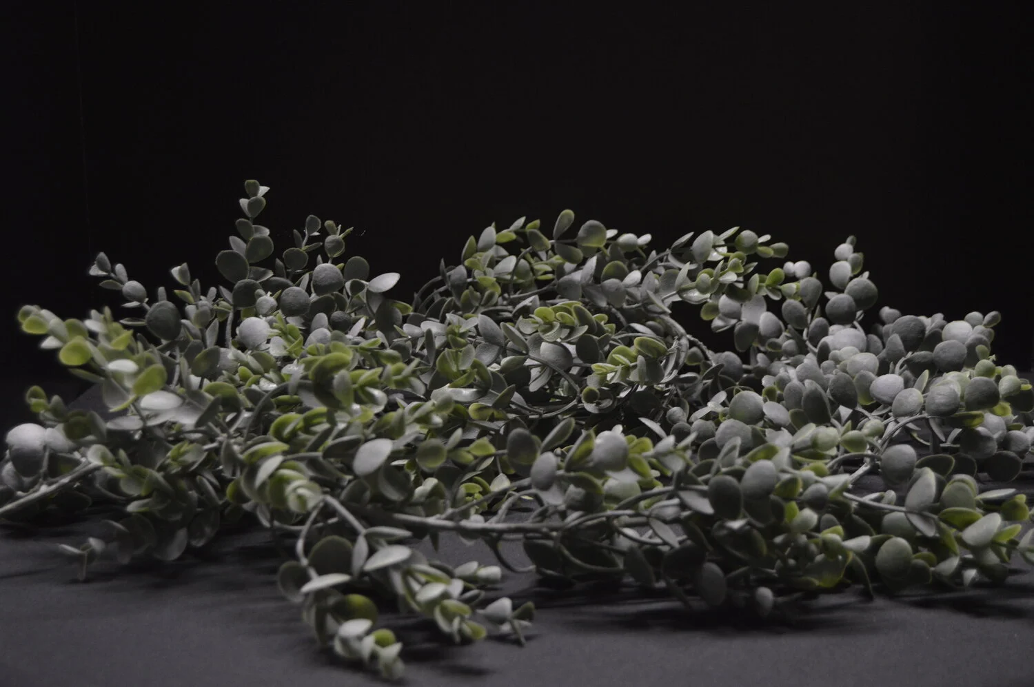 greebery garland #1 Q2.jpeg