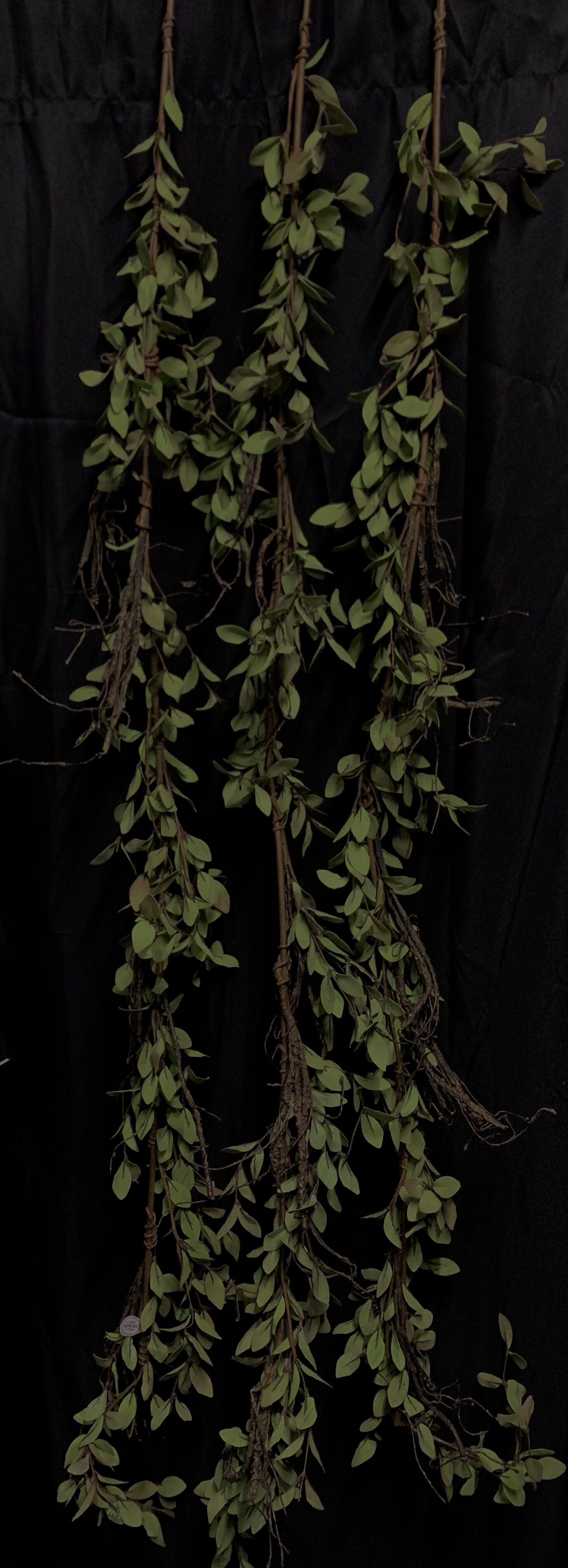 greenery #2 Q3.jpg