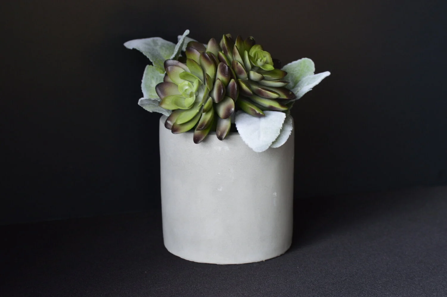plant vase #1 Q1.jpeg
