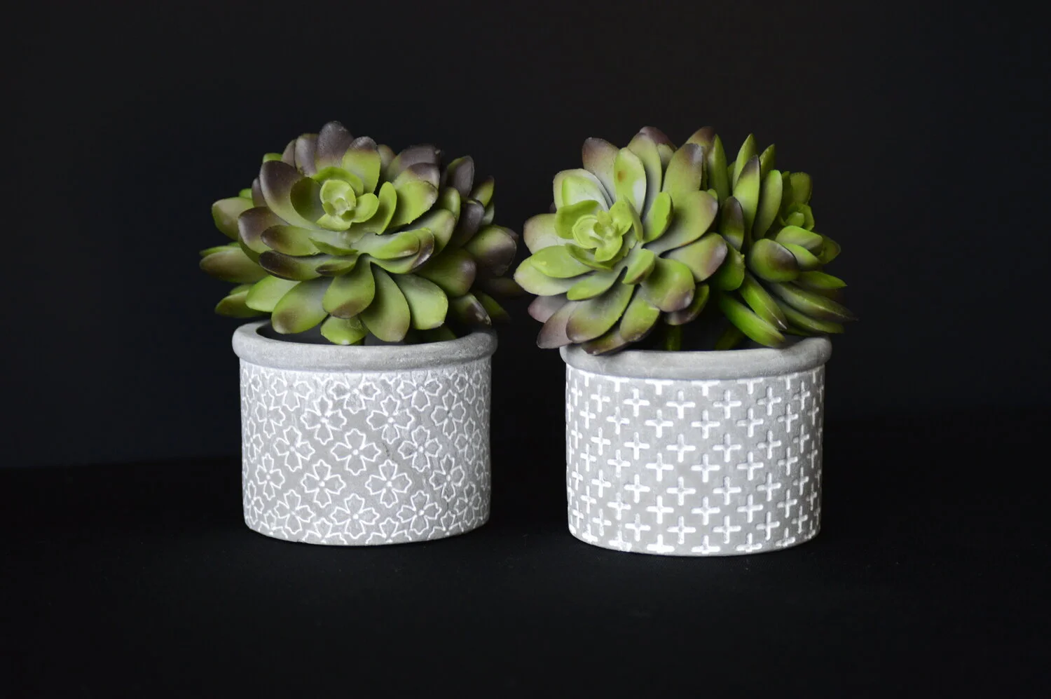 small plants in vases Q2.jpeg