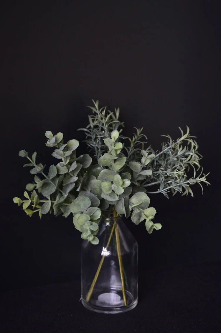 plant vase #4 Q1.jpeg