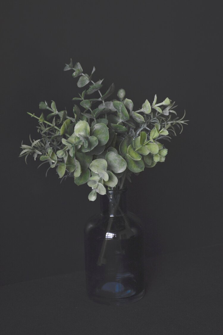 plant vase #5 Q1.jpg