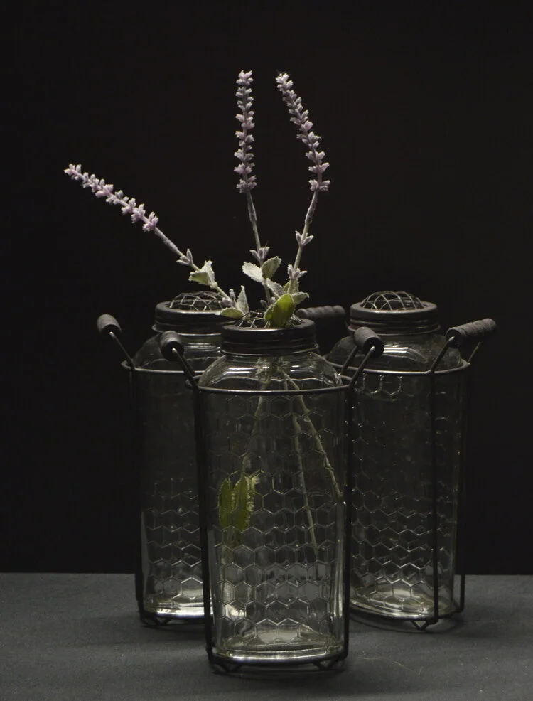 hive vase Q3.jpeg