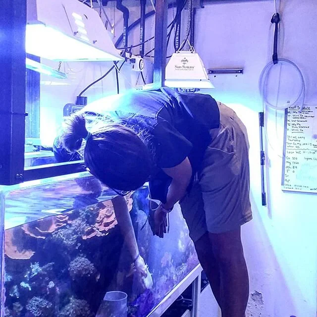 Have you ever had to clean a fish tank? ⤵️⁣
⁣
🧽Cleaning tanks is no joke, sometimes, even with the correct tools to make it easier, it still requires a lot of elbow grease.⁣
⁣
🧹When it comes to cleaning, there are a few things you should keep in mi