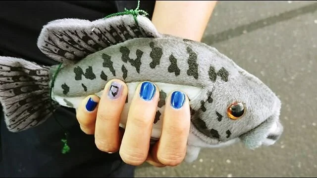 What your local native fish? ⤵️⁣
⁣
🗺No matter where you live, your local body of water has species of fish which are native to the area. ⁣
⁣
🏞Many times local agencies work to promote and support their native species. ⁣
⁣
🐟Not sure what your nativ