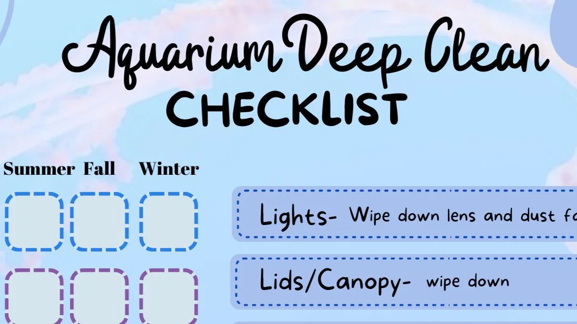 Aquarium Deep Cleaning List 