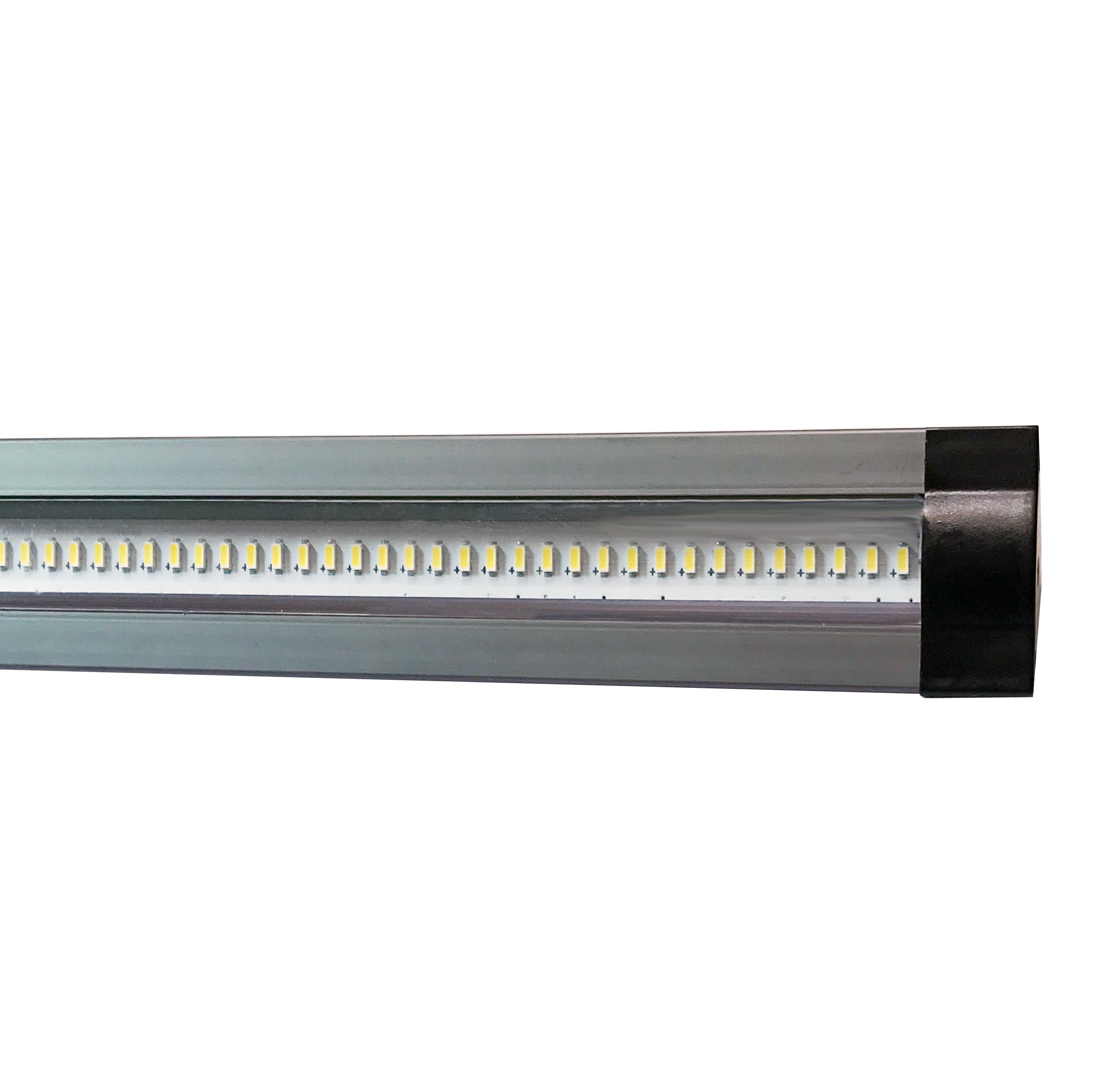 Showcase Lighting