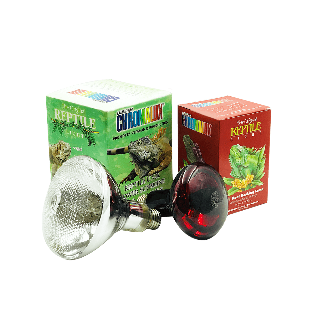 Buy Full Spectrum Lighting