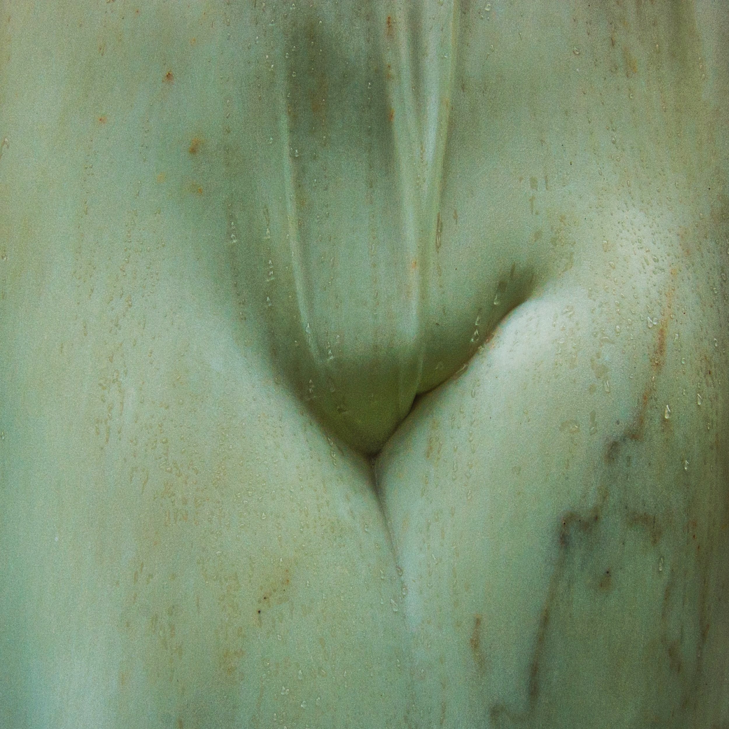 NUDE IN STONE - FRONT