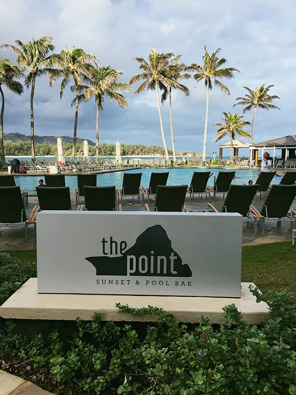 The-Point-at-Turtle-Bay-Resort-from-Mike-and-Dave-Need-Wedding-Dates-by-Live-the-Movies-.jpg