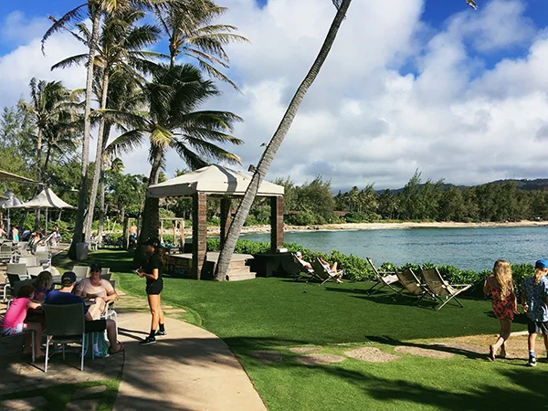 Poolside-Point-at-Turtle-Bay-Resort-from-Mike-and-Dave-Need-Wedding-Dates-by-Live-the-Movies-2.jpg