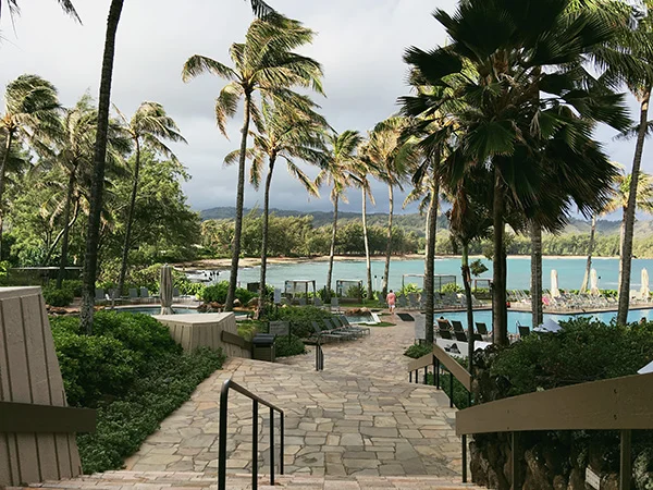 Poolside-Point-at-Turtle-Bay-Resort-from-Mike-and-Dave-Need-Wedding-Dates-by-Live-the-Movies-6.jpg