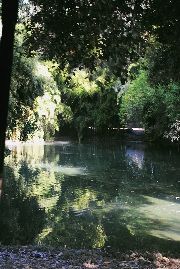 The-Bluebell-pond-from-Hart-of-Dixie-photo-by-Live-the-Movies.jpg