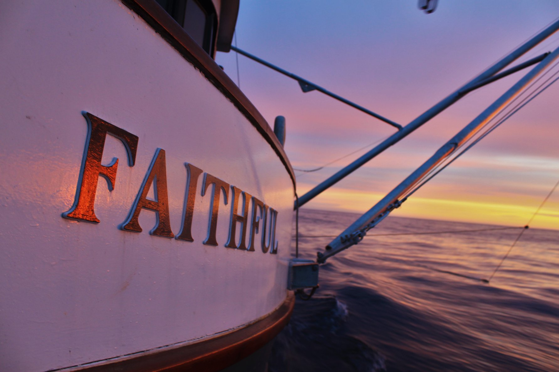 faithful_closeup_sunset.jpg