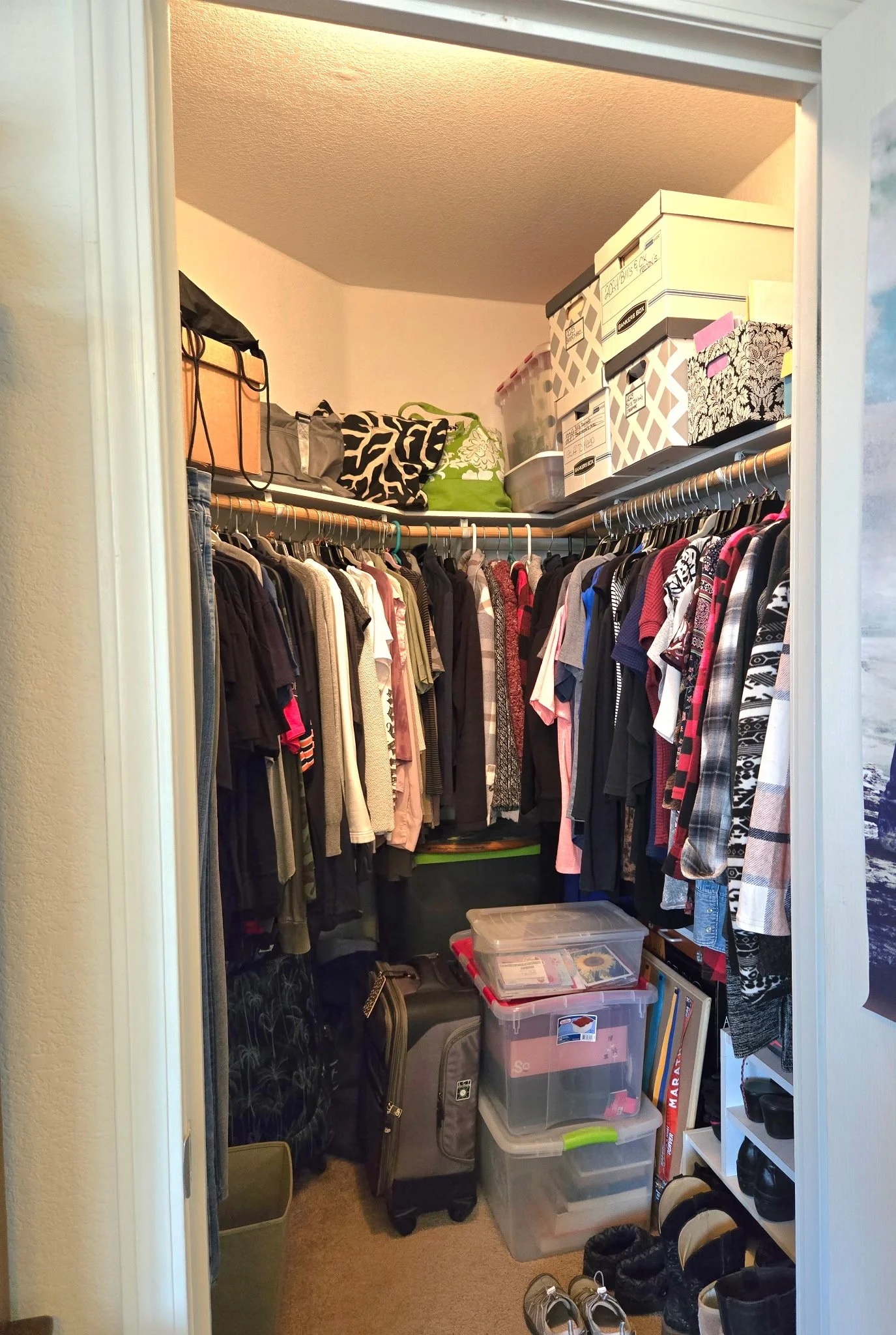 IMG_20260812_132653 (10).jpg