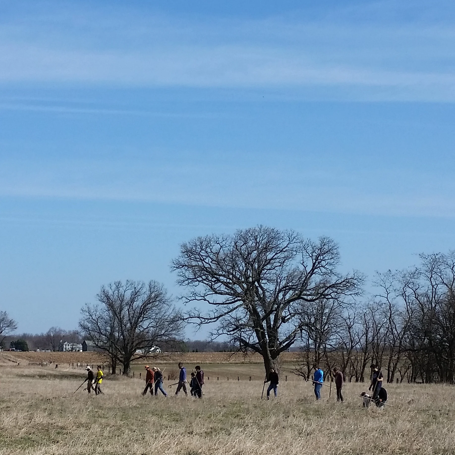 20150412_104541+copy.jpg