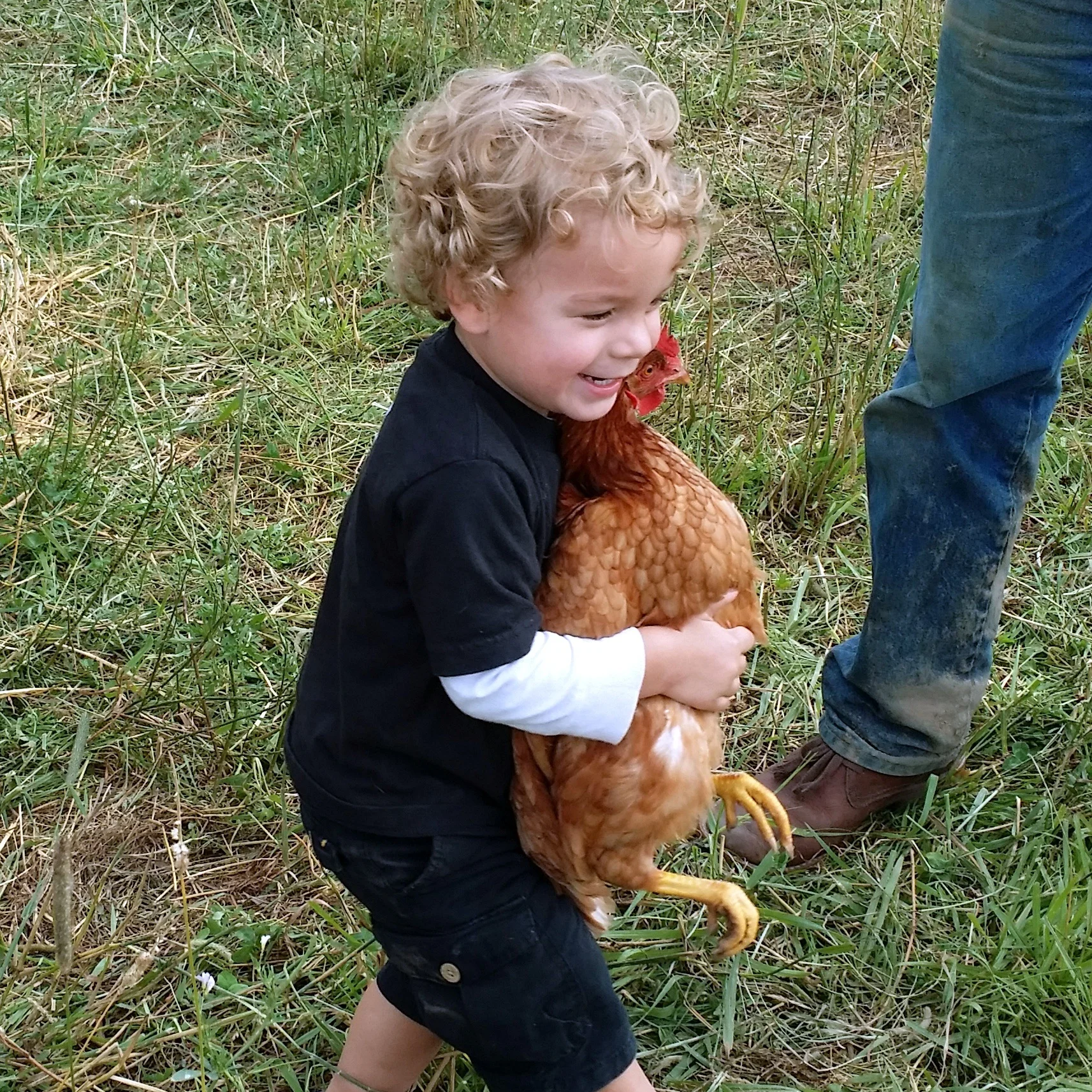 Farm visitor.