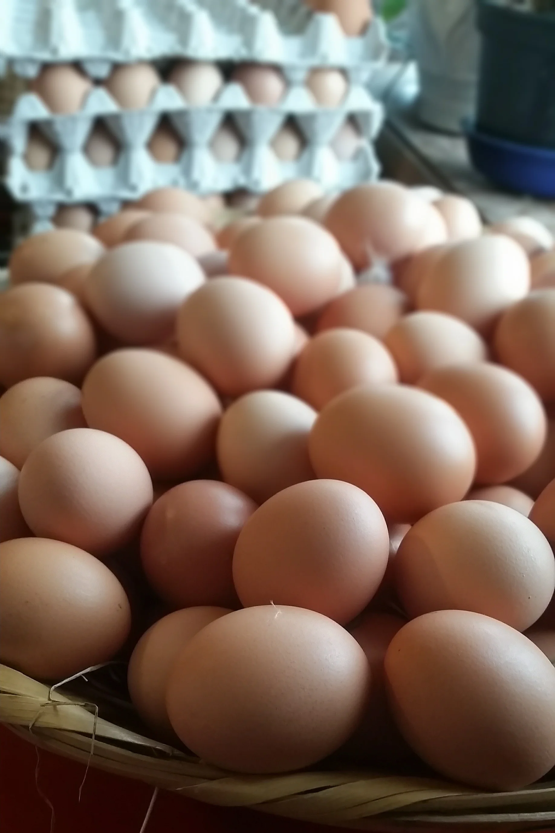 20150407_104703+copy.jpg