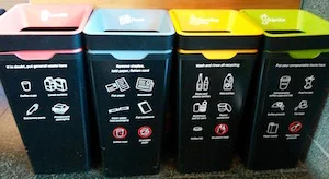 Bins Te Papa.jpg