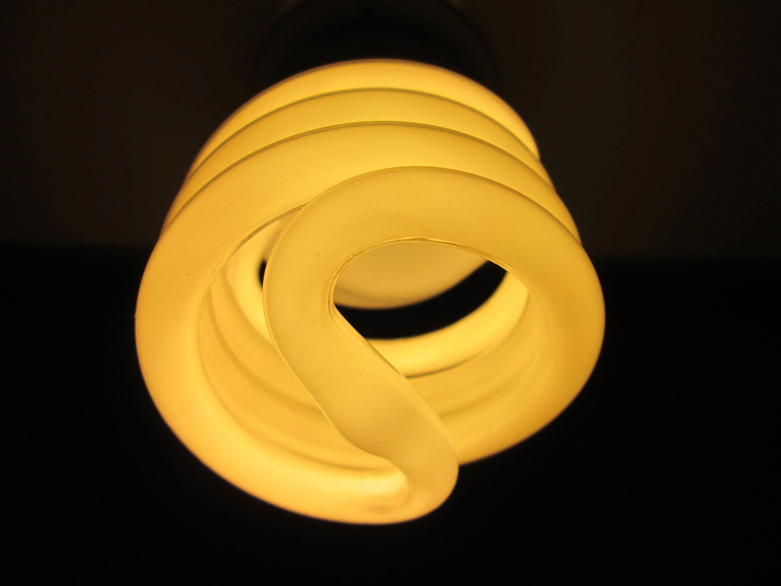 Canva - White Spiral Light Bulb.jpg