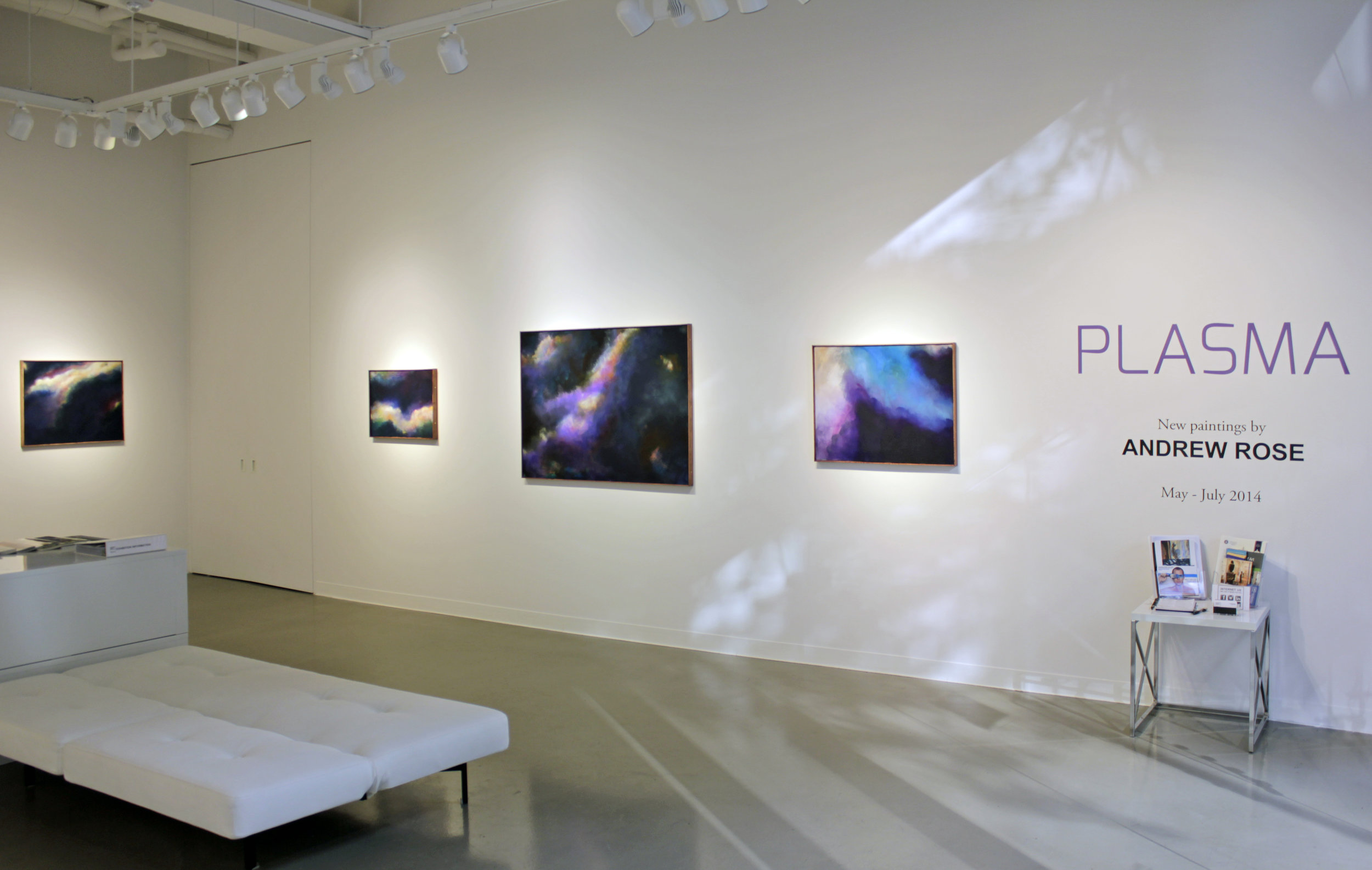 © Andrew Rose Gallery All Rights Reserved 2014. Makai Installation Plasma.jpg