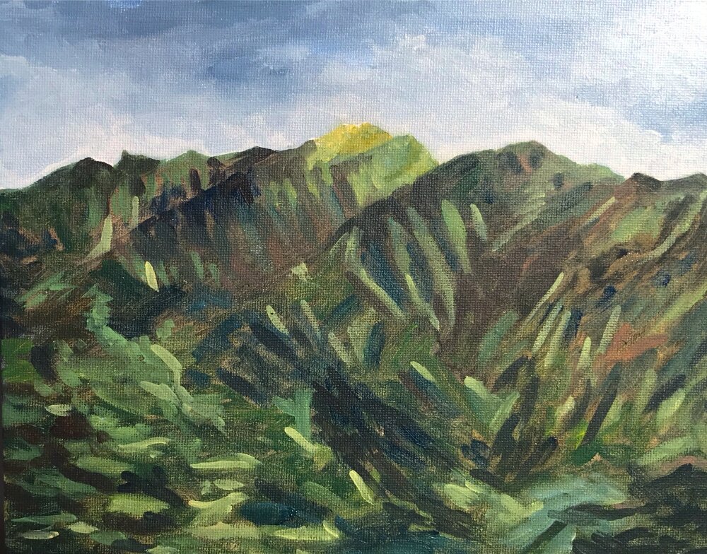Round Top from Waahila